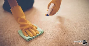 Read more about the article پاک کردن لکه از فرش بدون قالیشویی