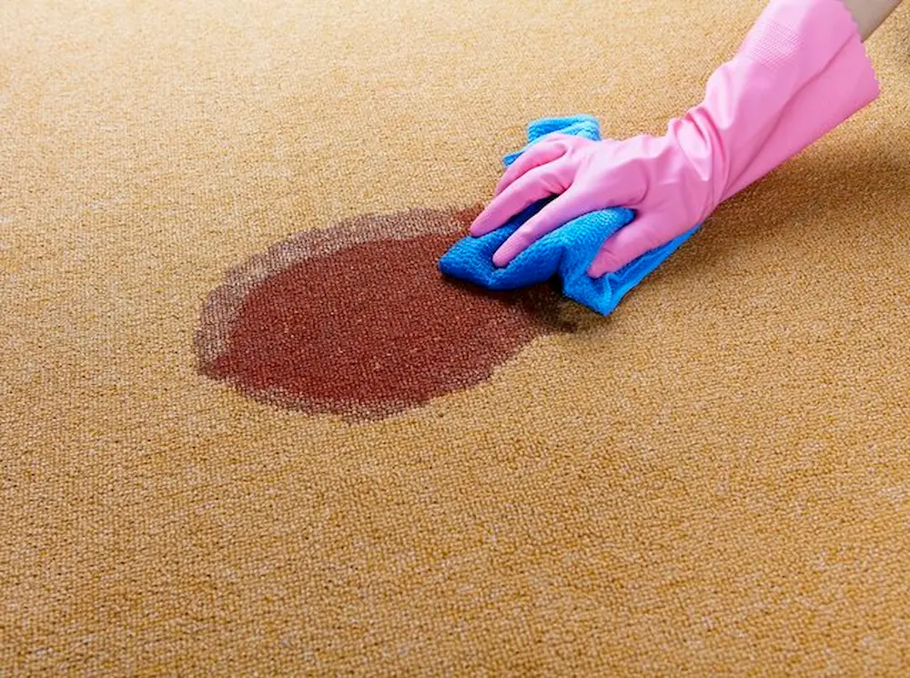 نکات مهم برای پاک کردن لکه نوشابه از روی فرش 