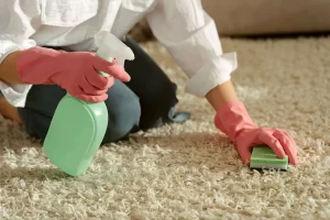 Read more about the article پاک کردن لکه مداد شمعی و ماژیک از روی فرش