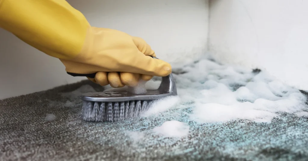 عوارض فرش کپک زده