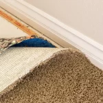 از بین بردن کپک فرش