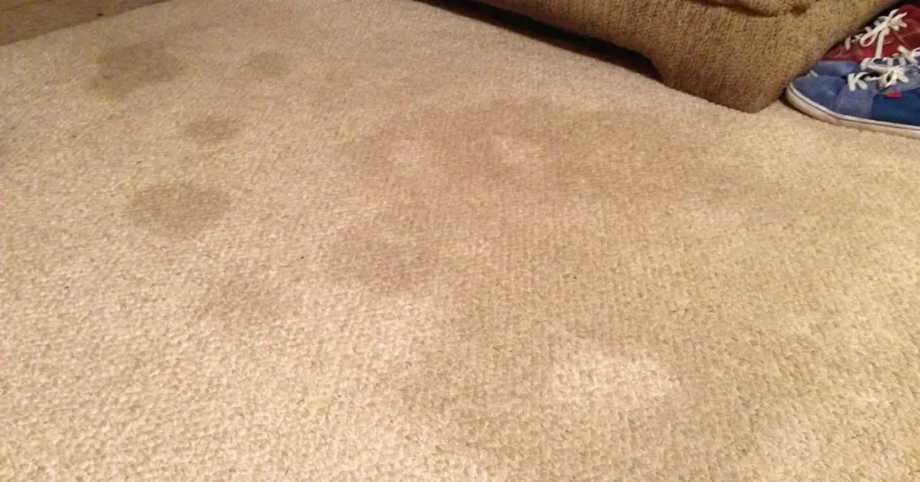 روش های پیشگیری از ایجاد لکه روغنی روی فرش