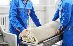 Read more about the article قالیشویی در هیو