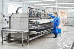 Read more about the article قالیشویی خور