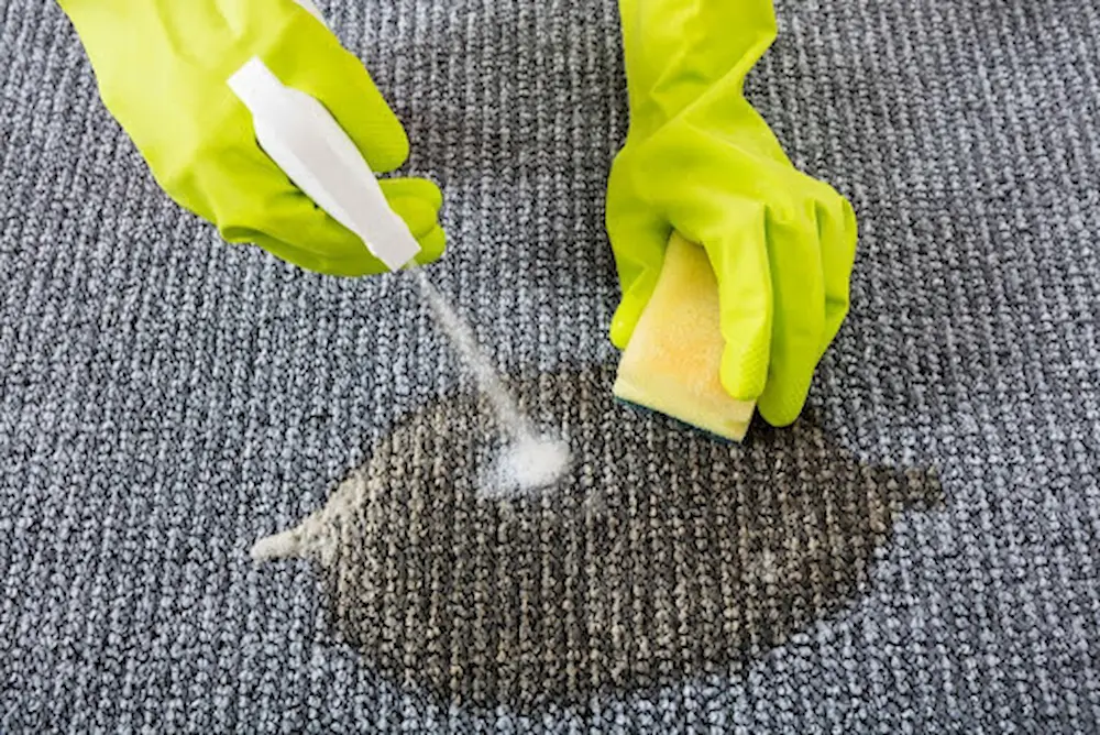 محلول ‌هایی برای پاک کردن لکه ادرار از روی فرش