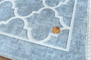 Read more about the article پاک کردن لکه قطره آهن از روی فرش