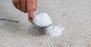Read more about the article پاک کردن لکه فرش با ماست