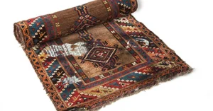 Read more about the article پوسیدگی فرش